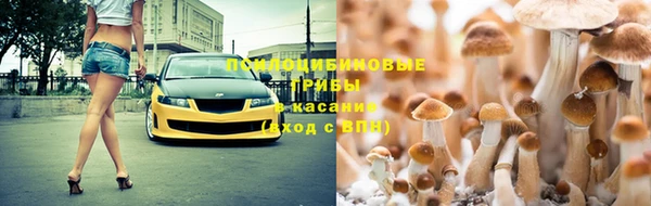 кокс Майский
