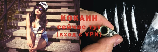 дживик Магас