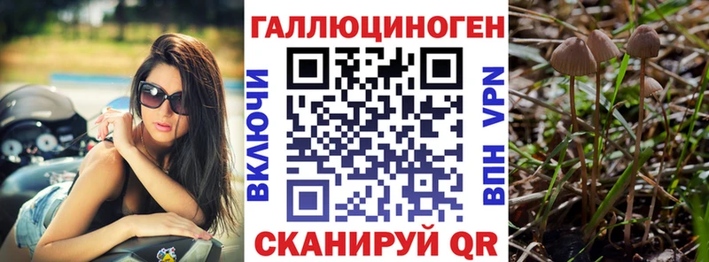 наркотики  гидра ссылки  Галлюциногенные грибы Magic Shrooms  площадка официальный сайт  Грозный 