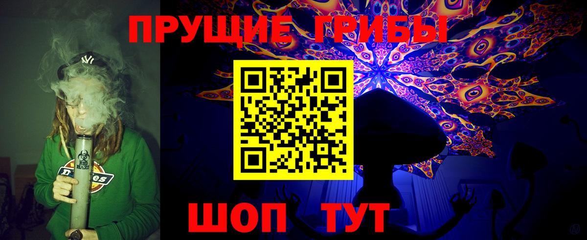 Галлюциногенные грибы GOLDEN TEACHER  наркошоп  Псилоцибиновые грибы мицелий  Грозный  Вход с VPN 